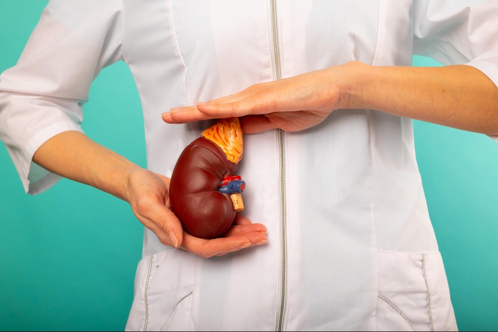 Best Kidney Transplant Surgeon in Jaipur: What Patients Should Check Before Transplant Care main image