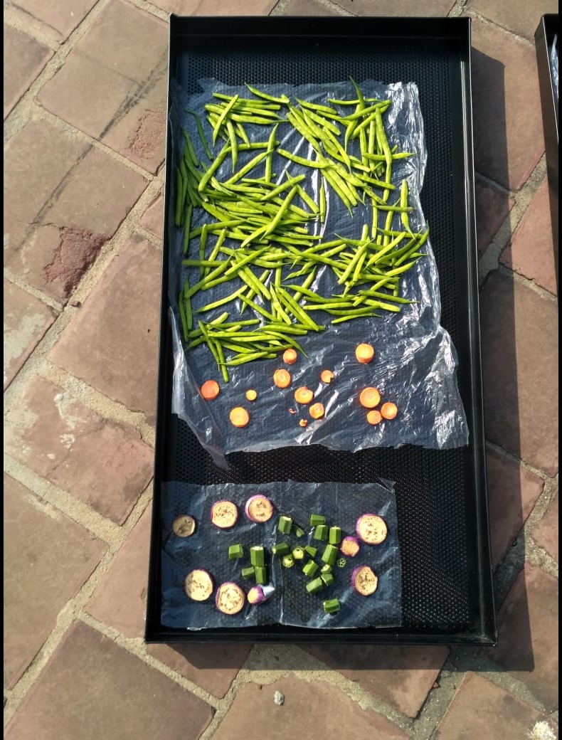 Commercial Solar Dryer in Siwan, Bihar for Fruits, Spices and Food Processing