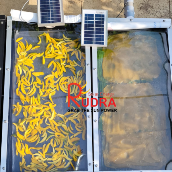 Mango Solar Dryer & Fruit Processing in Amroha, Uttar Pradesh