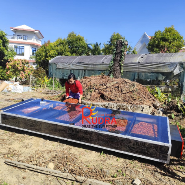 Onion, Parwal & Chilli Processing with Solar Dryer in Ballia, Uttar Pradesh