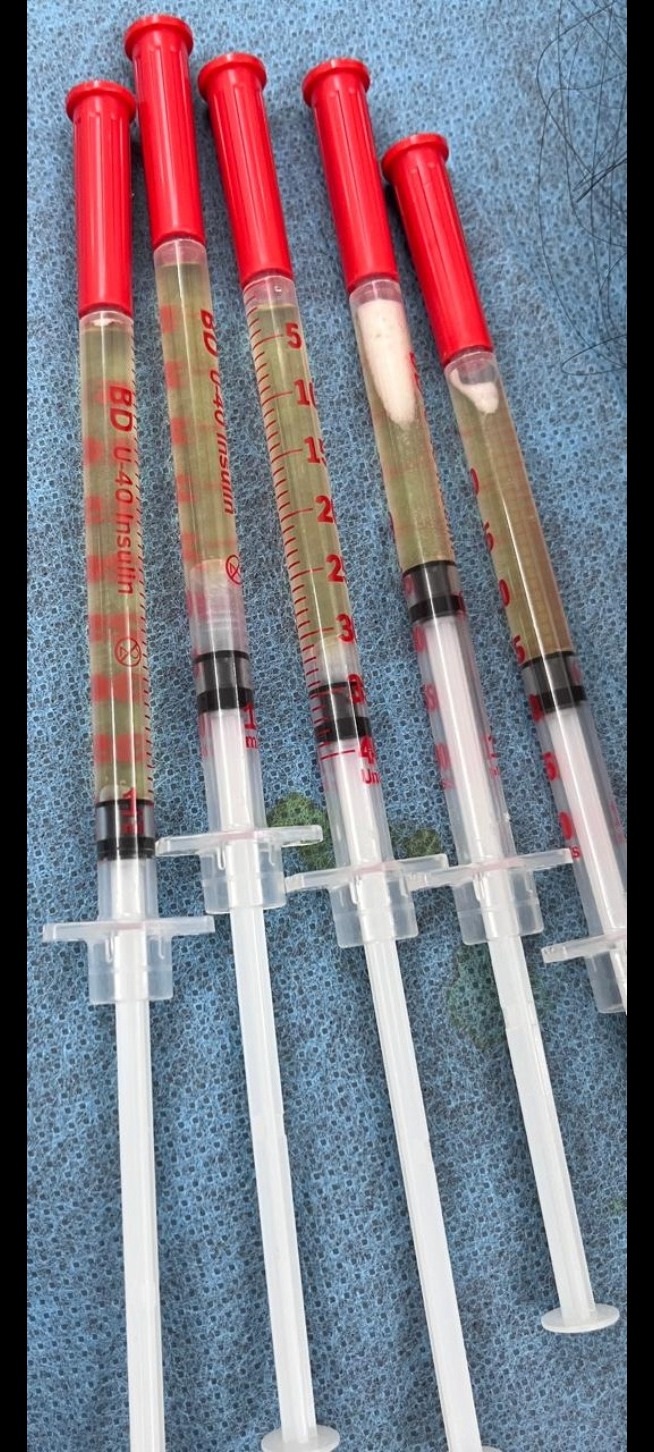 Orthopedic hospital Tennur main image