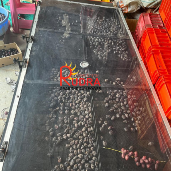 Solar Dryer in Banda for Gram, Lentil & Oilseed Processing