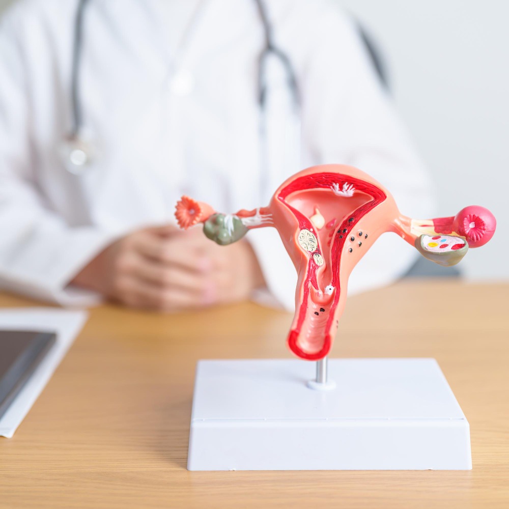 Infertility Treatment Explained with Signs That Indicate It Is Time for a Fertility Evaluation