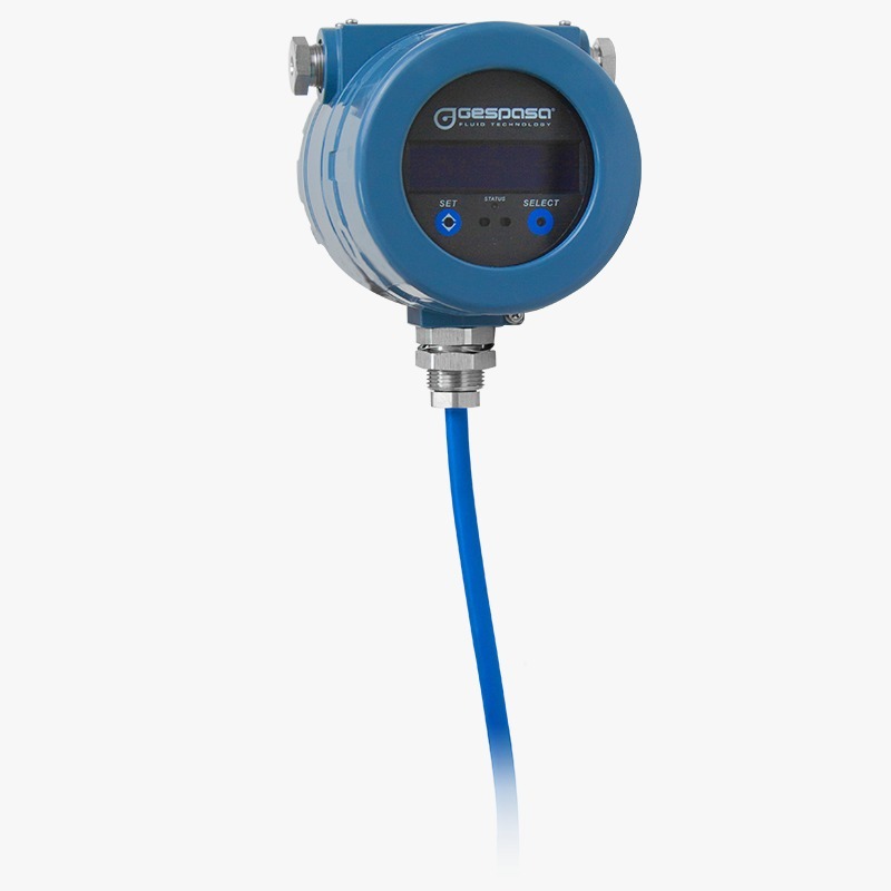 Mass Flow Meter