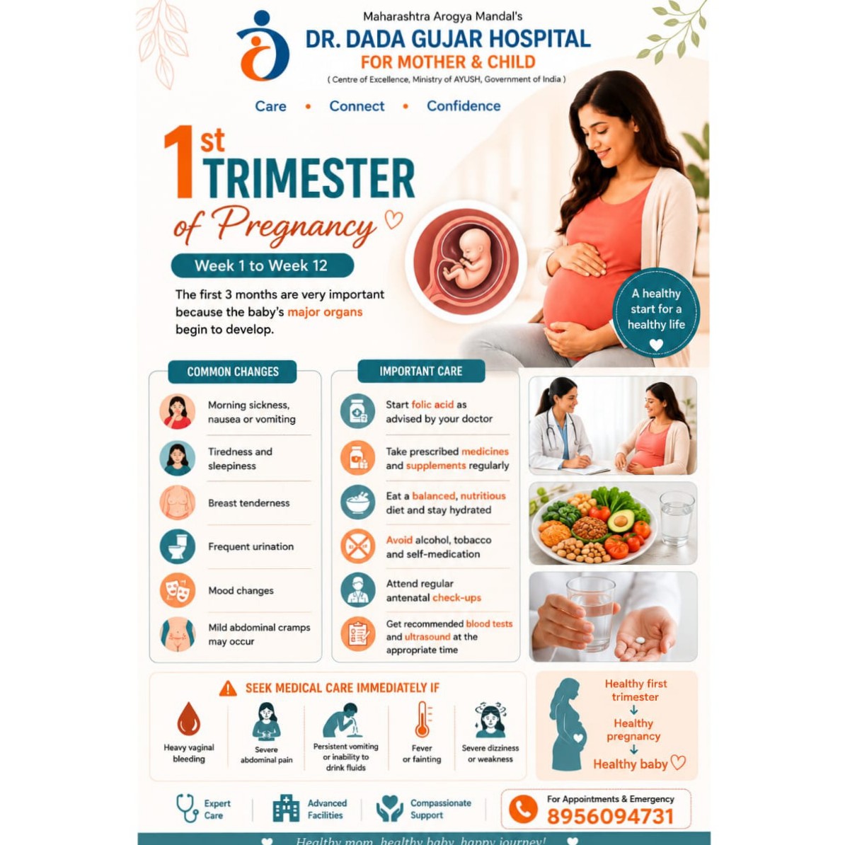 1st Trimester of Pregnancy main image