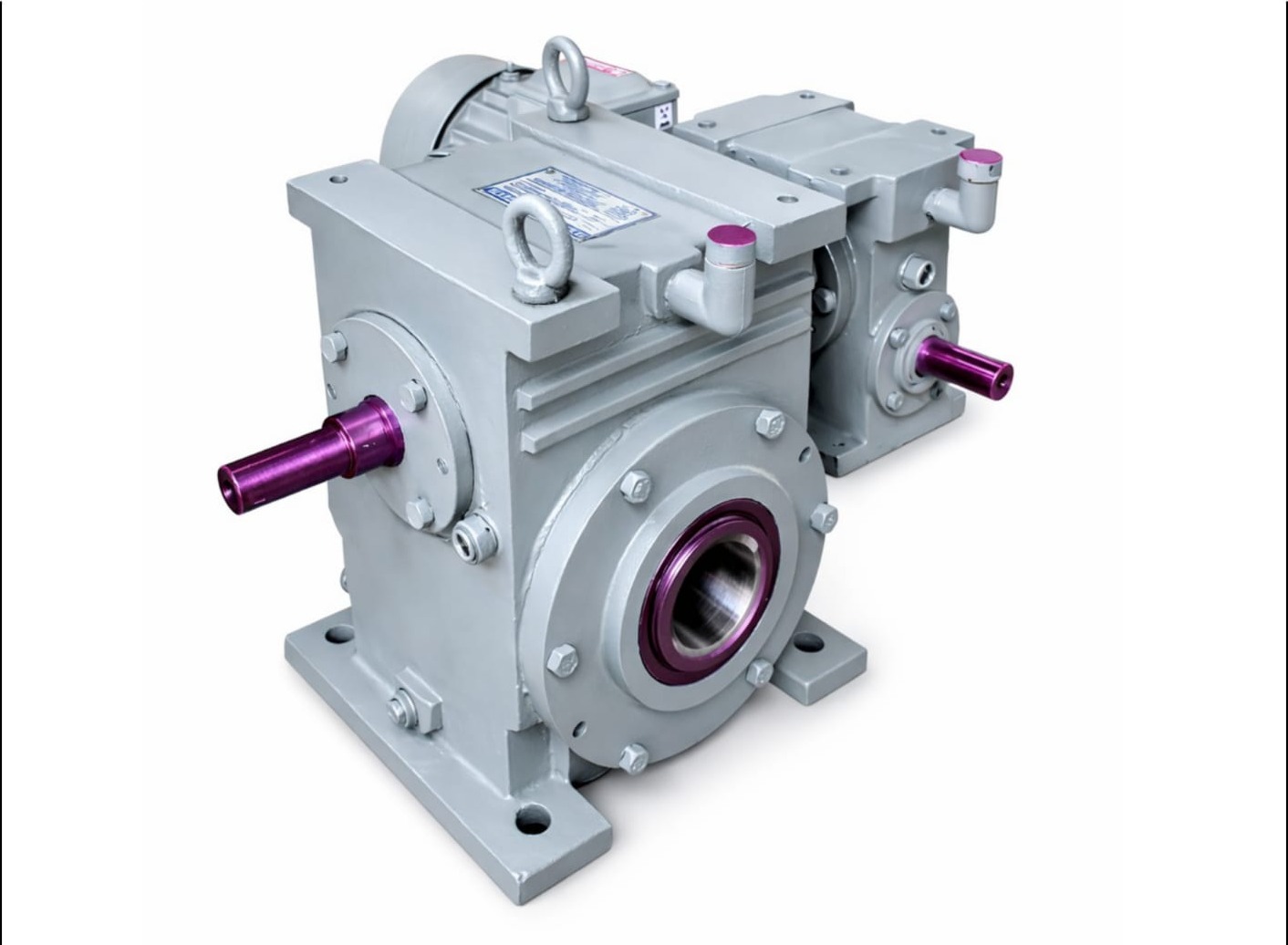 TWO STAGE WORM GEARBOX MANUFACTURER IN UTTARPRADESH