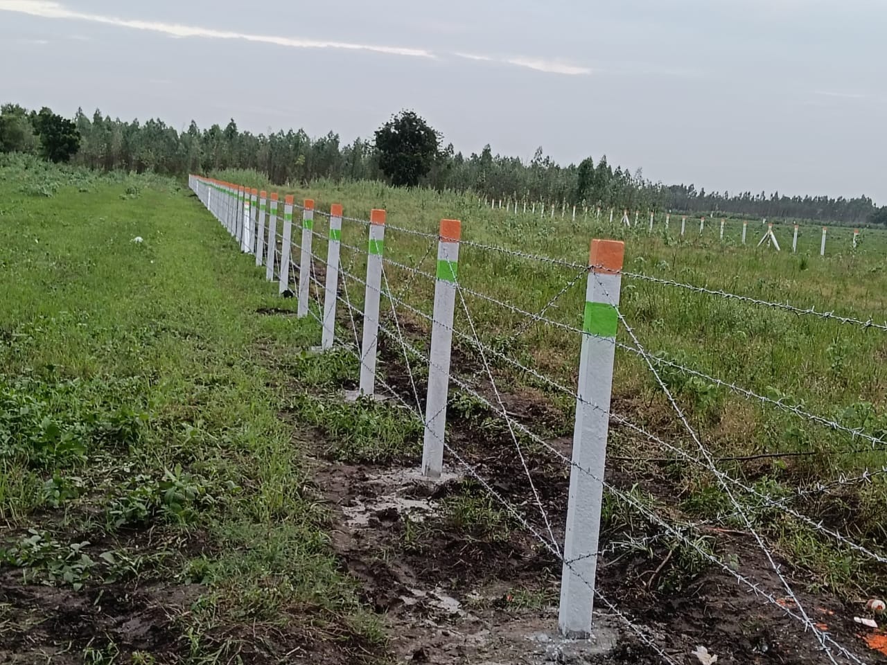 Professional Fencing Installation in Gujarat