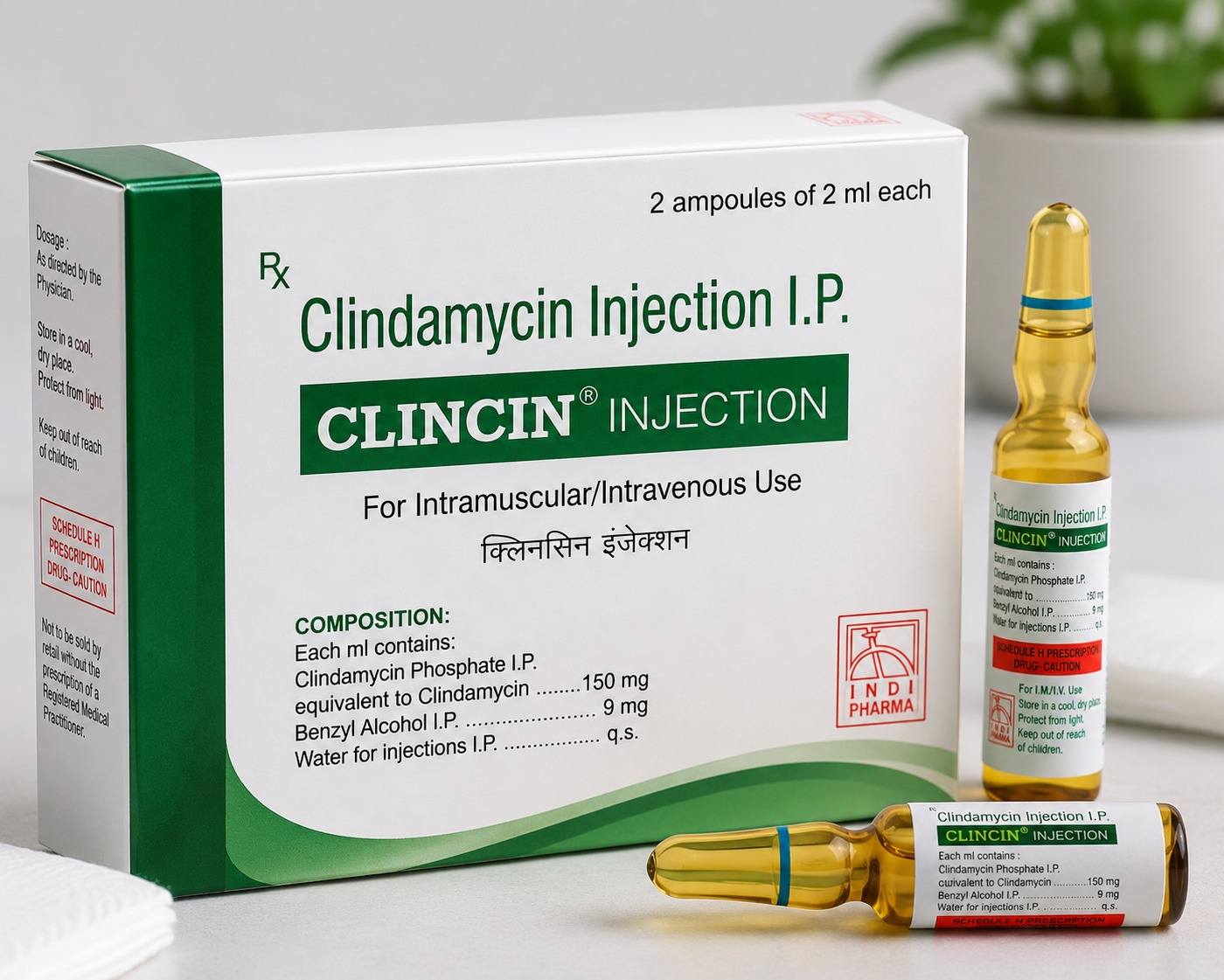 Clincin Injection | Product Information & Availability | City Drug House