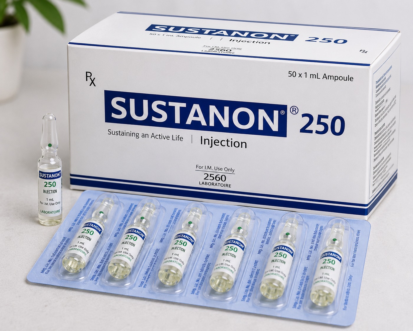 Sustanon 250 Injection | Product Information & Availability | City Drug House
