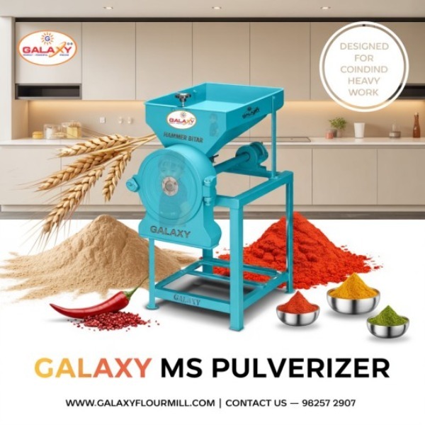 Hammer Beater Pulverizer in Indore | Powerful Grinding for Food Processing
