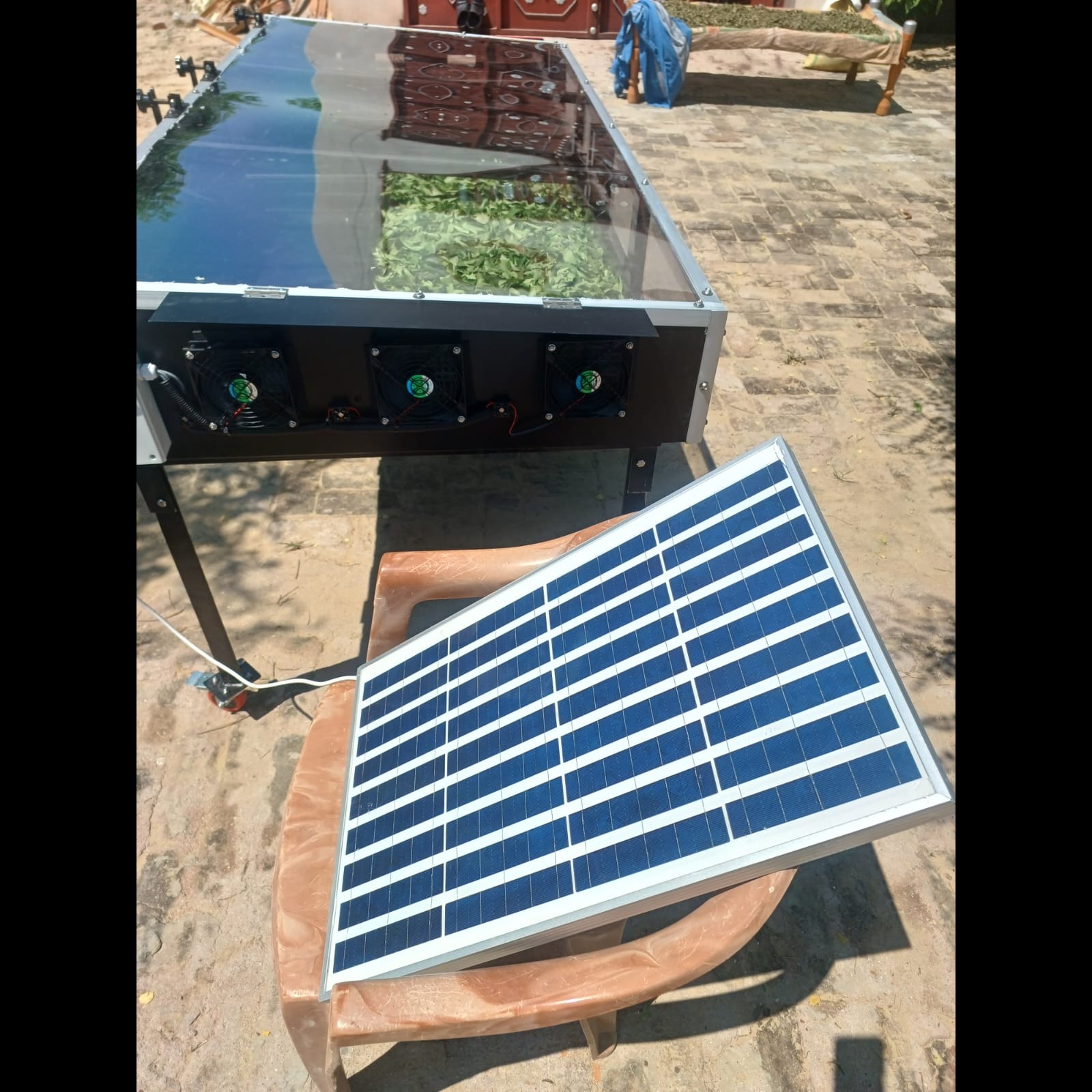 Best Solar Dryer in Meerut for Wheat, Rice, Vegetables, Spices & Agricultural Produce
