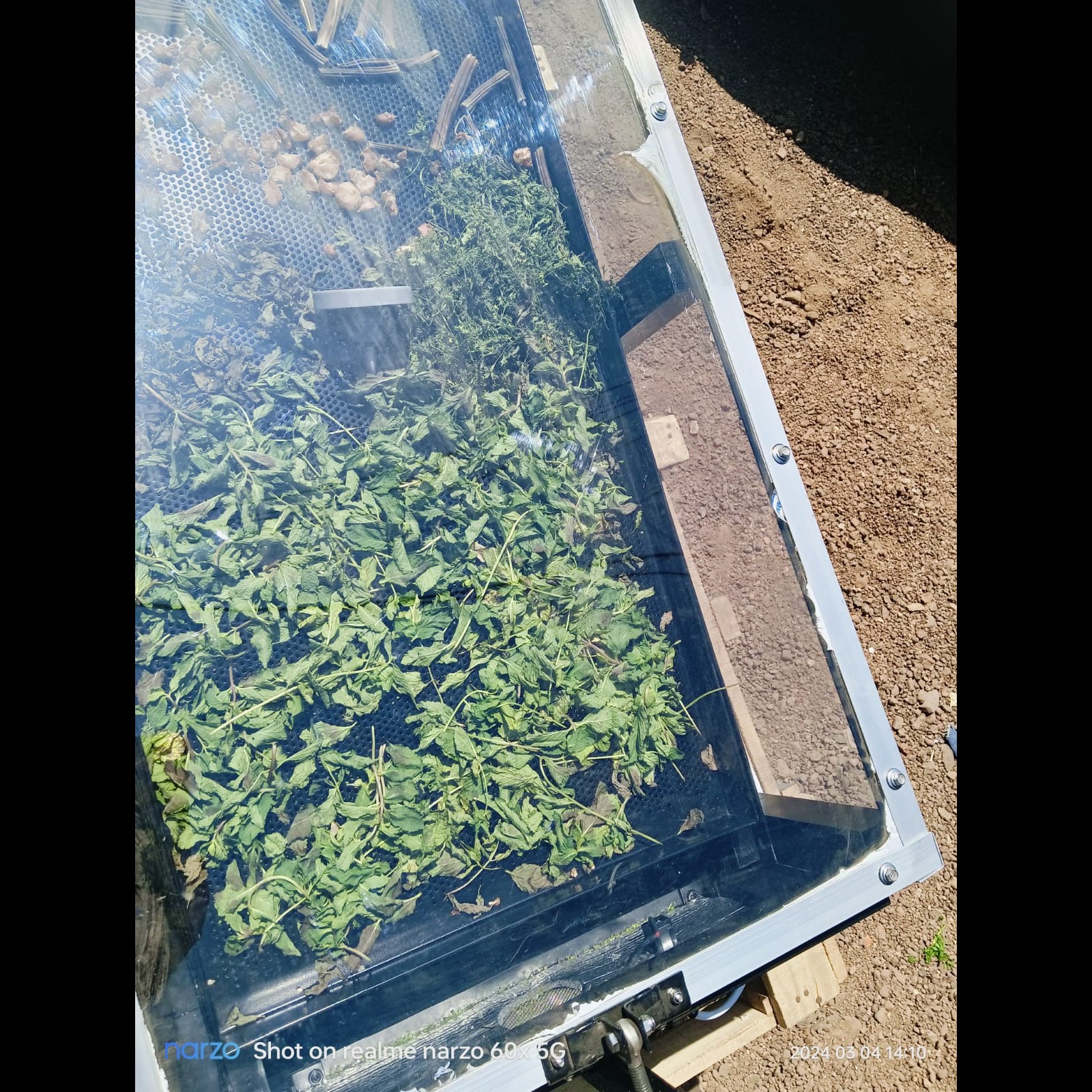 Best Solar Dryer in Mirzapur for Grains, Pulses, Oilseeds & Agricultural Produce