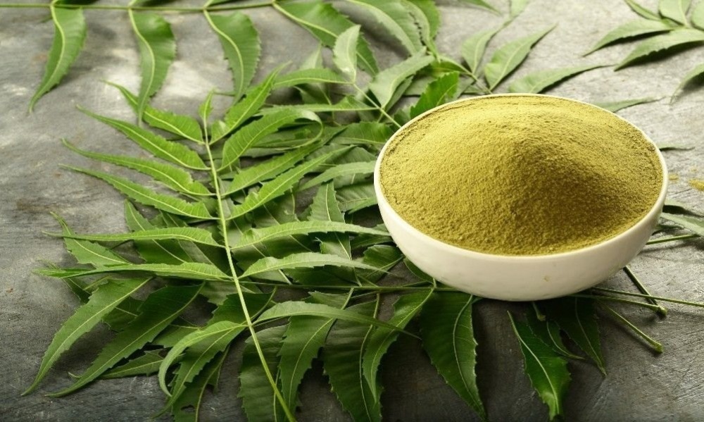 Neem Leaves Powder Exporter India | Bulk Wholesale Supplier β SS Overseas | Global B2B Supplier