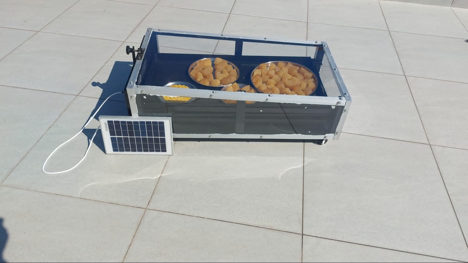 Best Solar Dryer in Muzaffarnagar for Grains, Seeds, Vegetables, Spices & Agricultural Produce