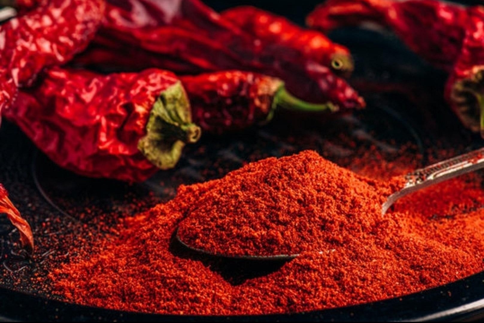 Red Chilli Powder Exporter India | Bulk Chilli Powder Supplier 🌶️