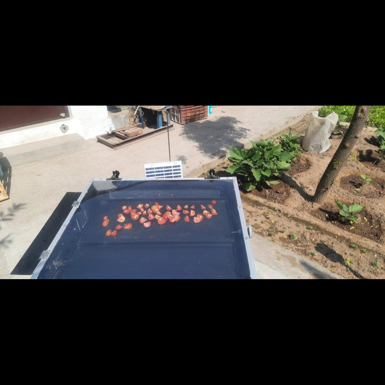 Solar Dryer in Sambhal for Mentha, Wheat, Paddy, Mustard, Vegetables & Agro Processing