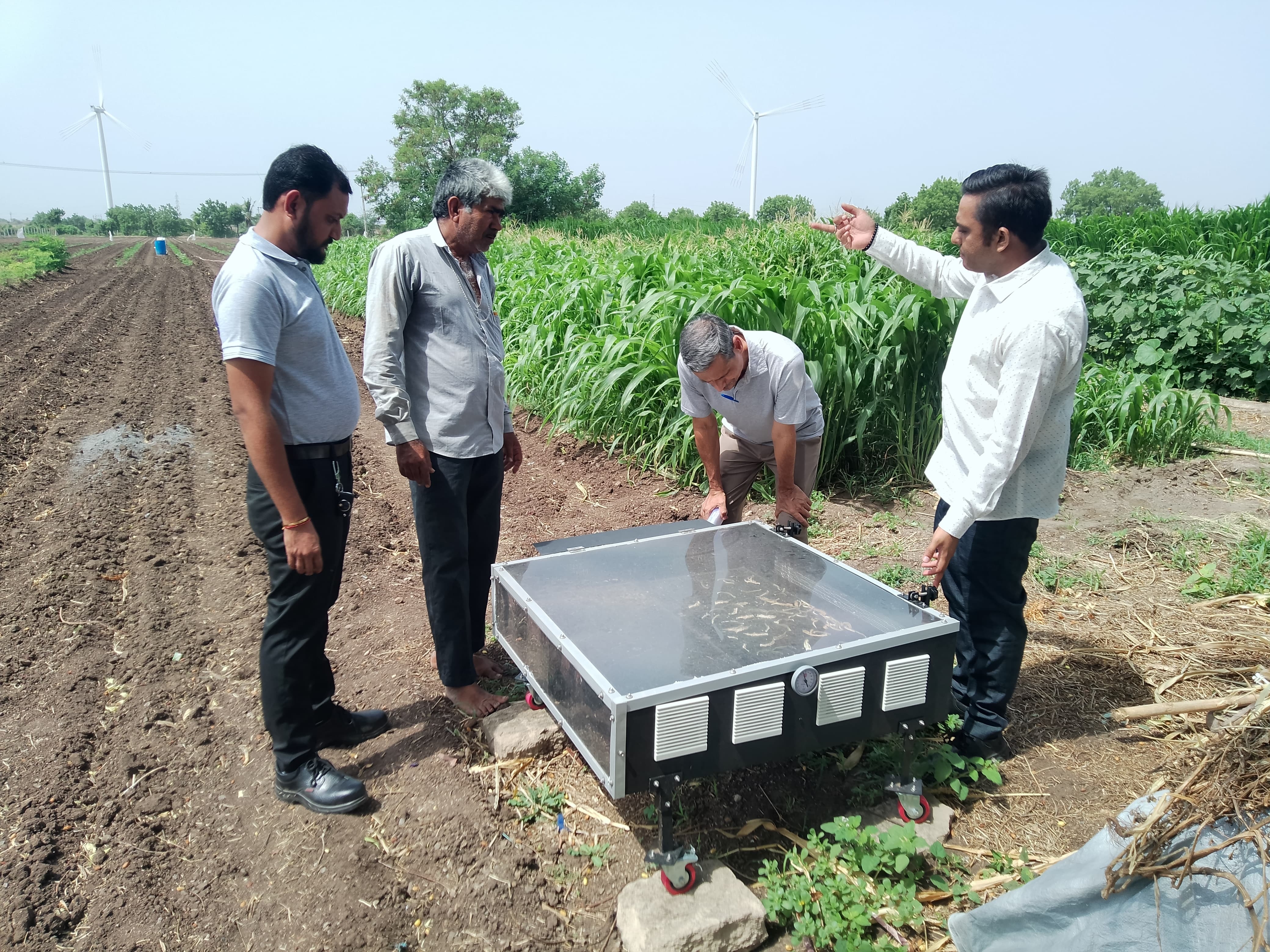 Solar Dryer in Shamli for Wheat, Paddy, Mustard, Pulses, Chilli & Vegetable Processing