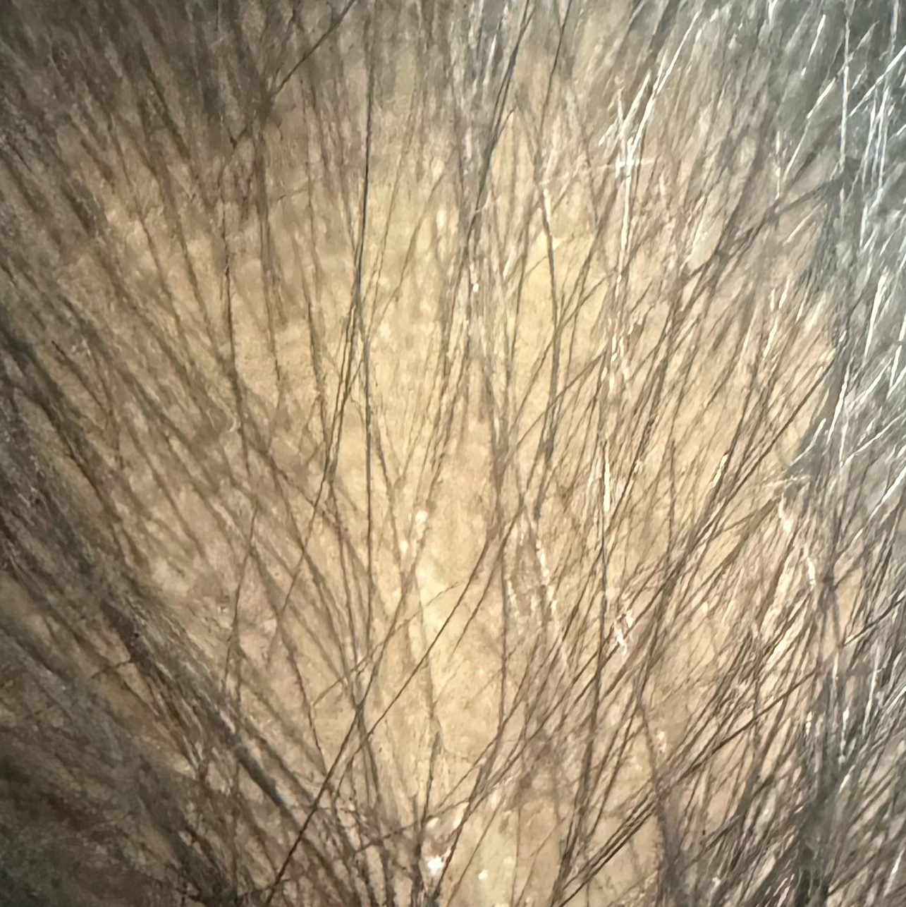 Vibha skin