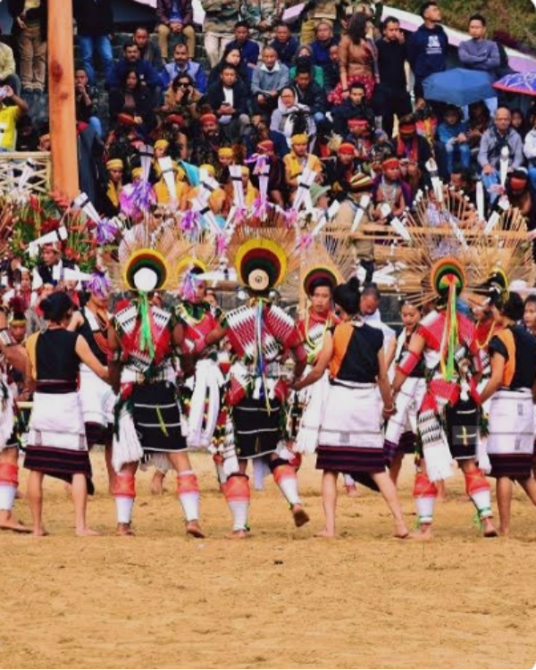 Nagaland Hornbill Festival Special