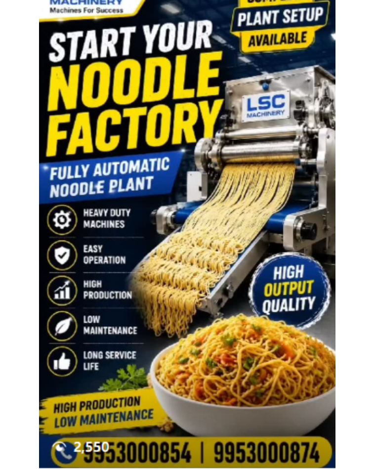 Fully Automatic Noodle Plant In Delhi