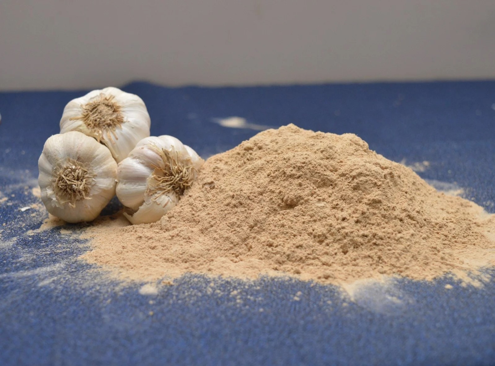 Garlic Powder Exporter India | Bulk Wholesale Supplier | SS Overseas | Indian Wholesale Exporter