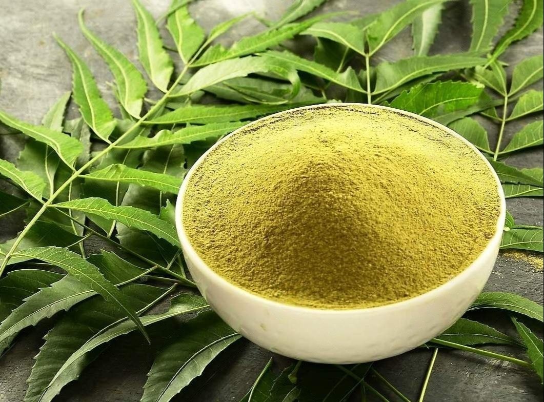 Neem Leaves Powder Exporter India | Bulk Wholesale Supplier β SS Overseas | Global B2B Supplier