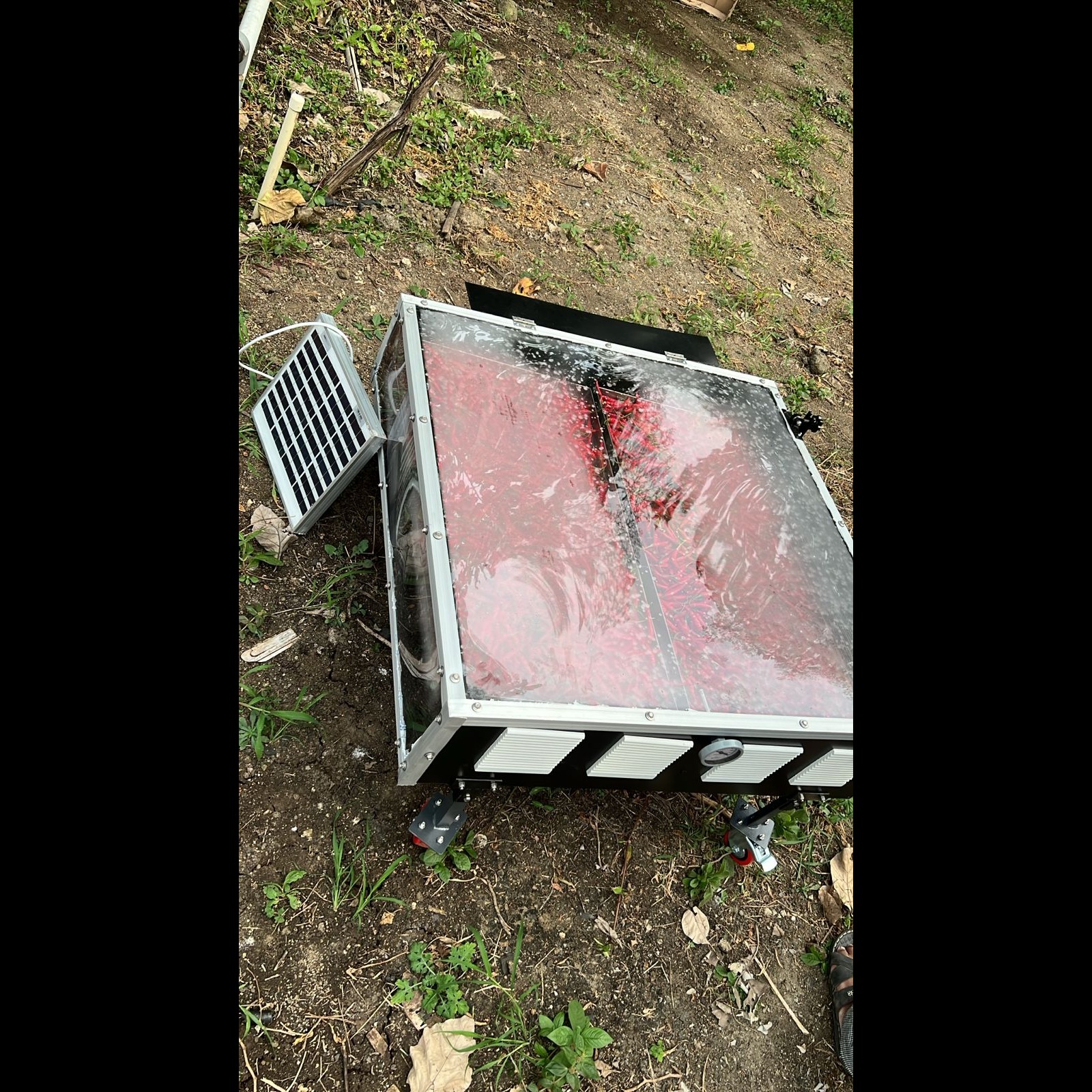 Solar Dryer in Bengaluru Urban for Ragi, Maize, Pulses, Fruits, Vegetables & Food Processing