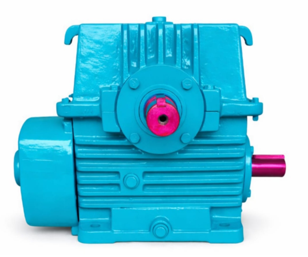 Worm Gearbox Manufacturers in Punjab