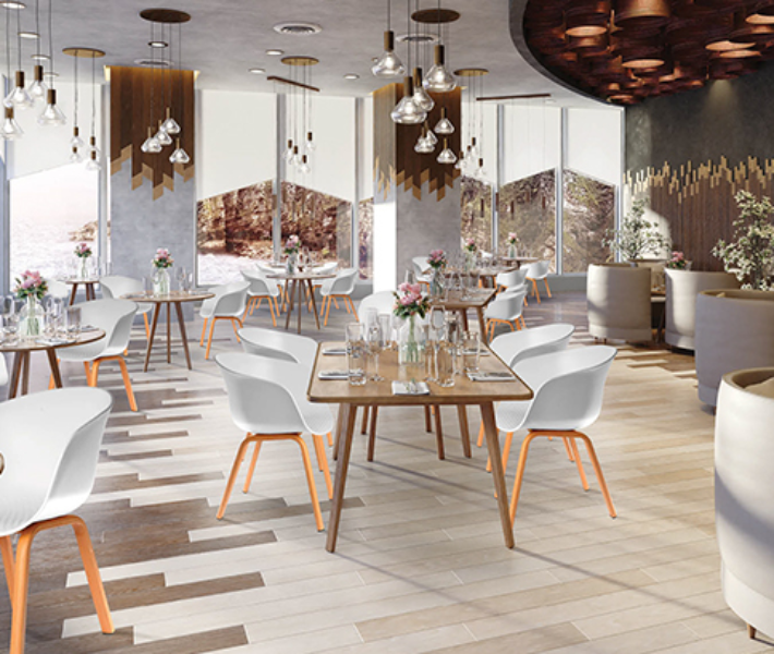 Restaurant & Cafe Chair Supplier in Delhi
