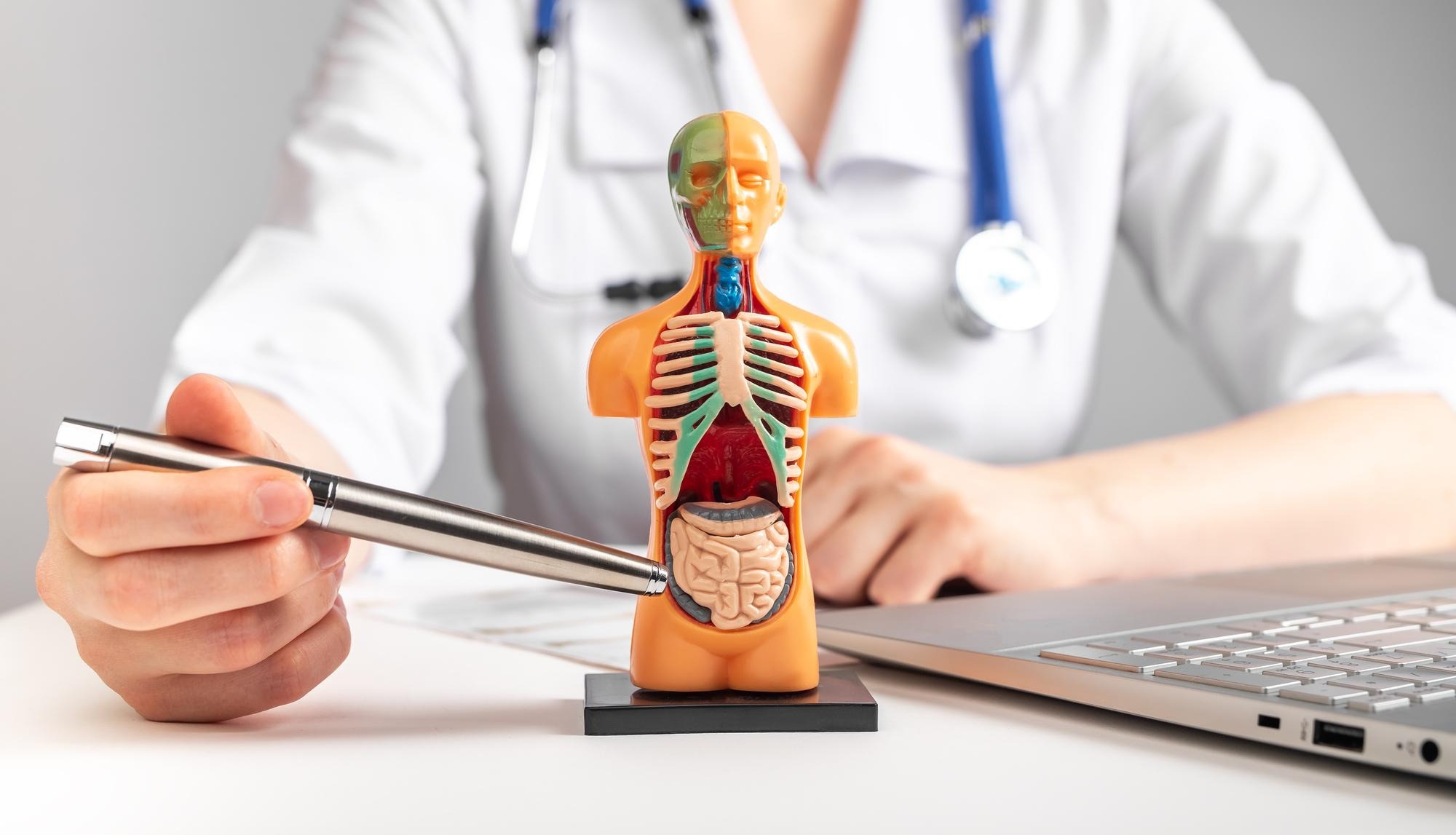 How to Evaluate Claims About the Best Internal Medicine Doctor for Ongoing Care
