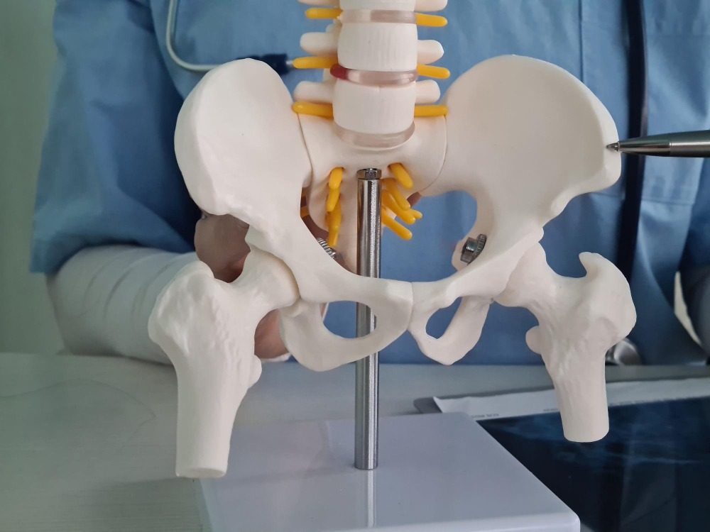 When Should You Consult a Hip Replacement Doctor in Nagpur?