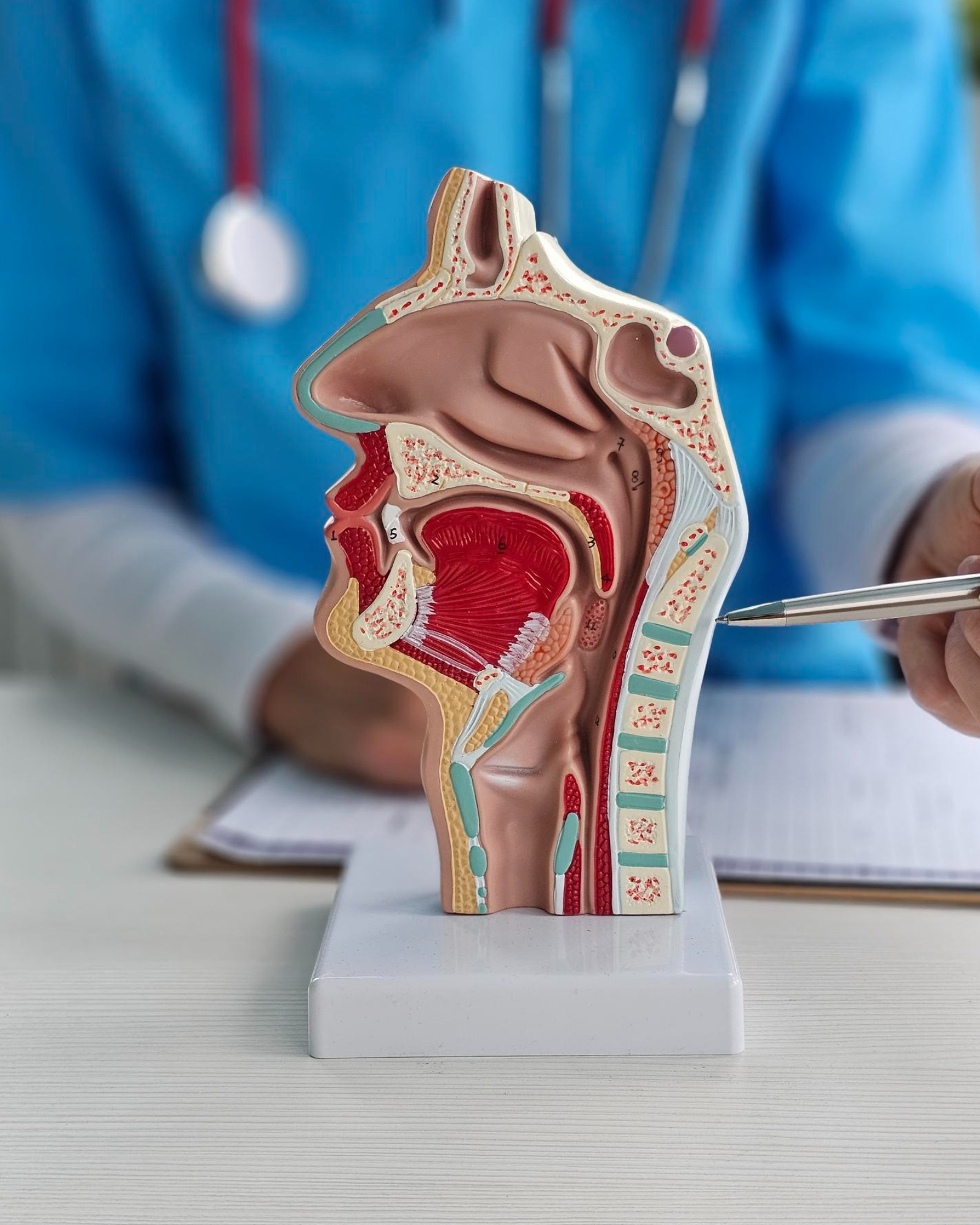 ENT in Pune A Practical Guide to Recurrent Ear, Nose, Throat Symptoms