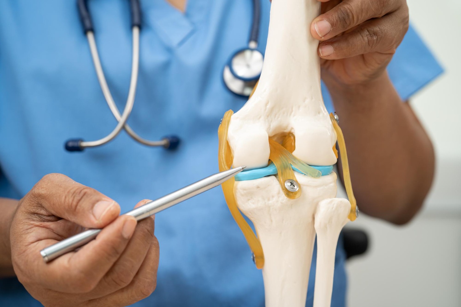 ACL Reconstruction Recovery And The Return To Active Movement