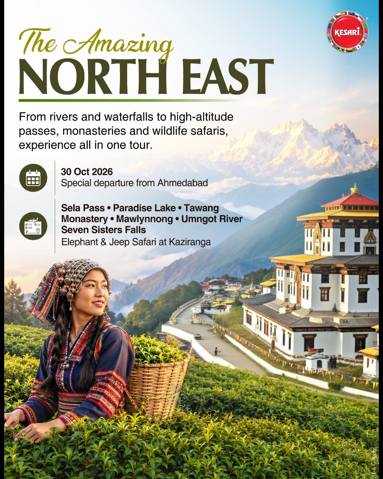 Amazing North East
