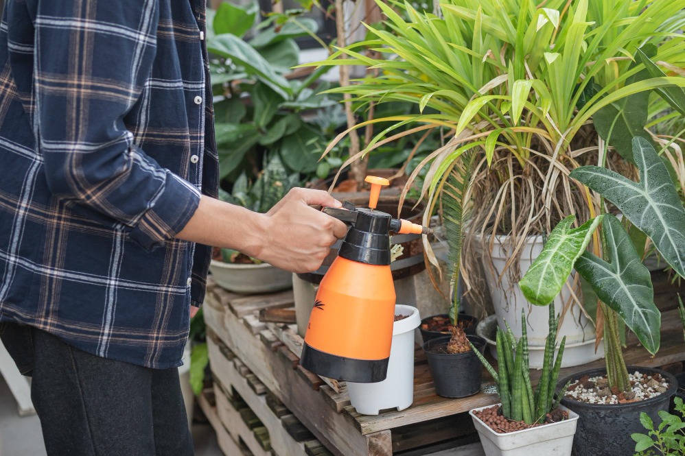 Fertilisers for Home Gardens, Lawns, Terrace Plants
