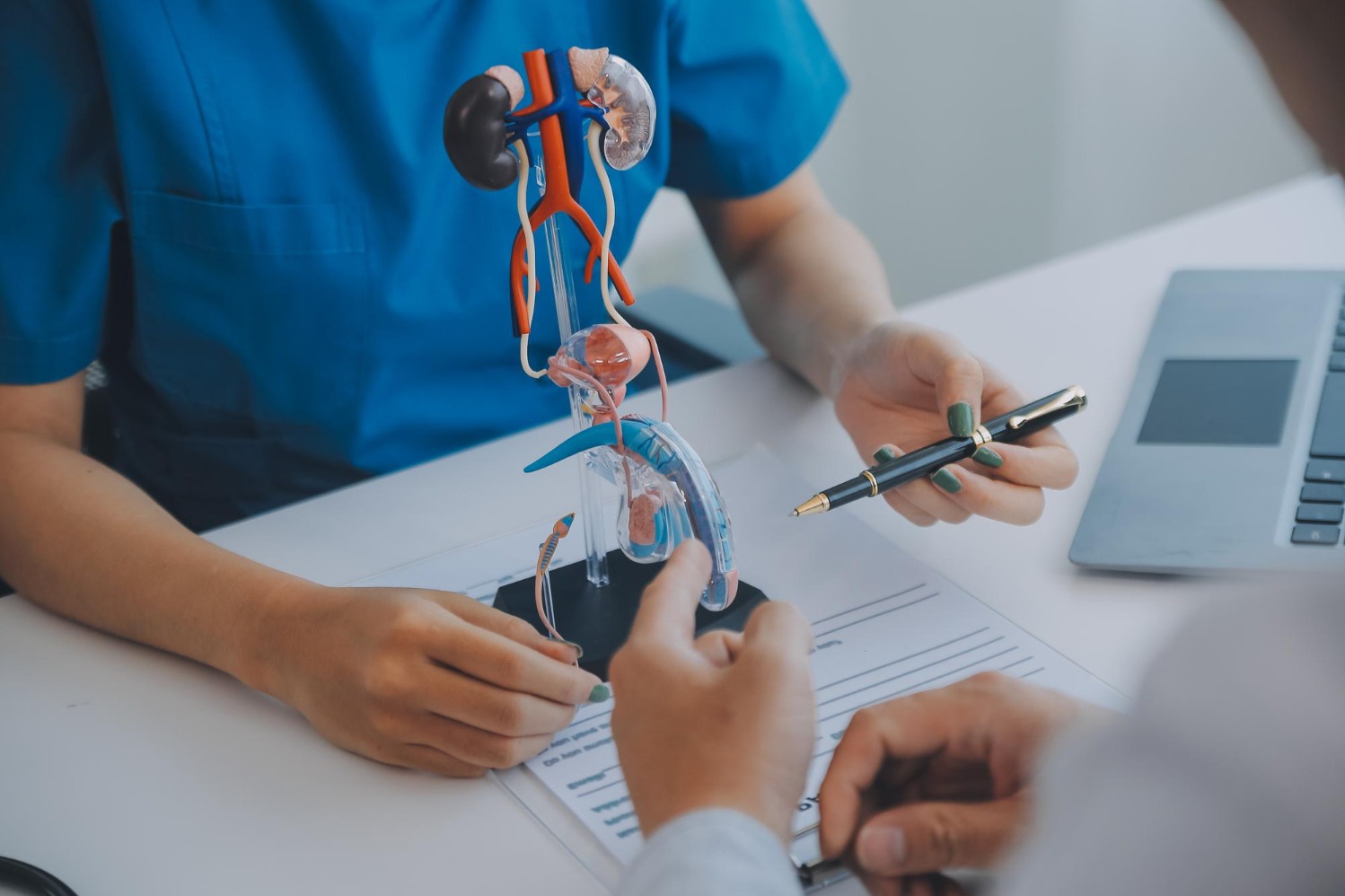 What Does a Best Andrologist Evaluate During a Male Reproductive Health Consultation