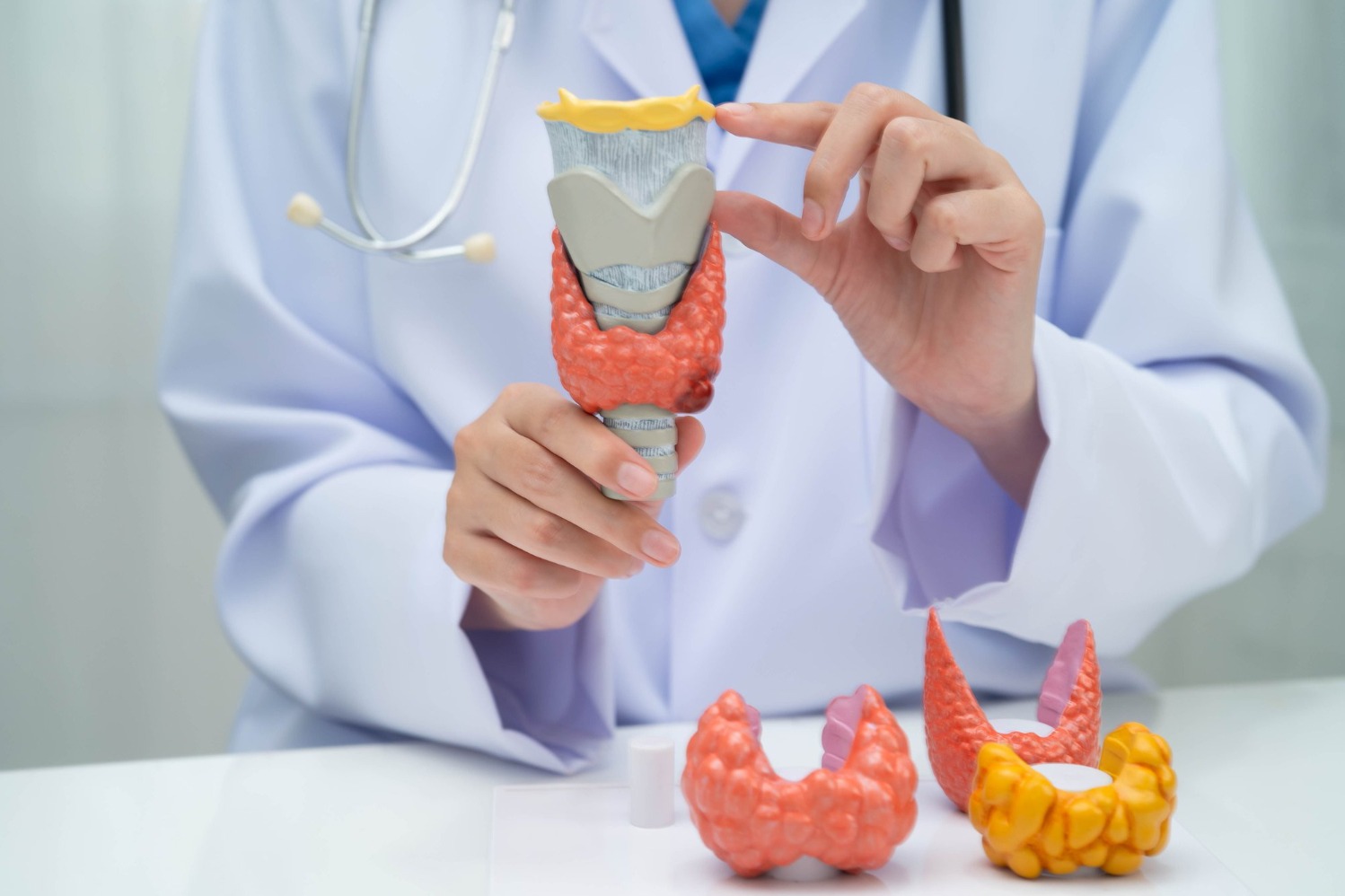 Finding the Best Endocrinologist Approach for Hormonal Health Concerns