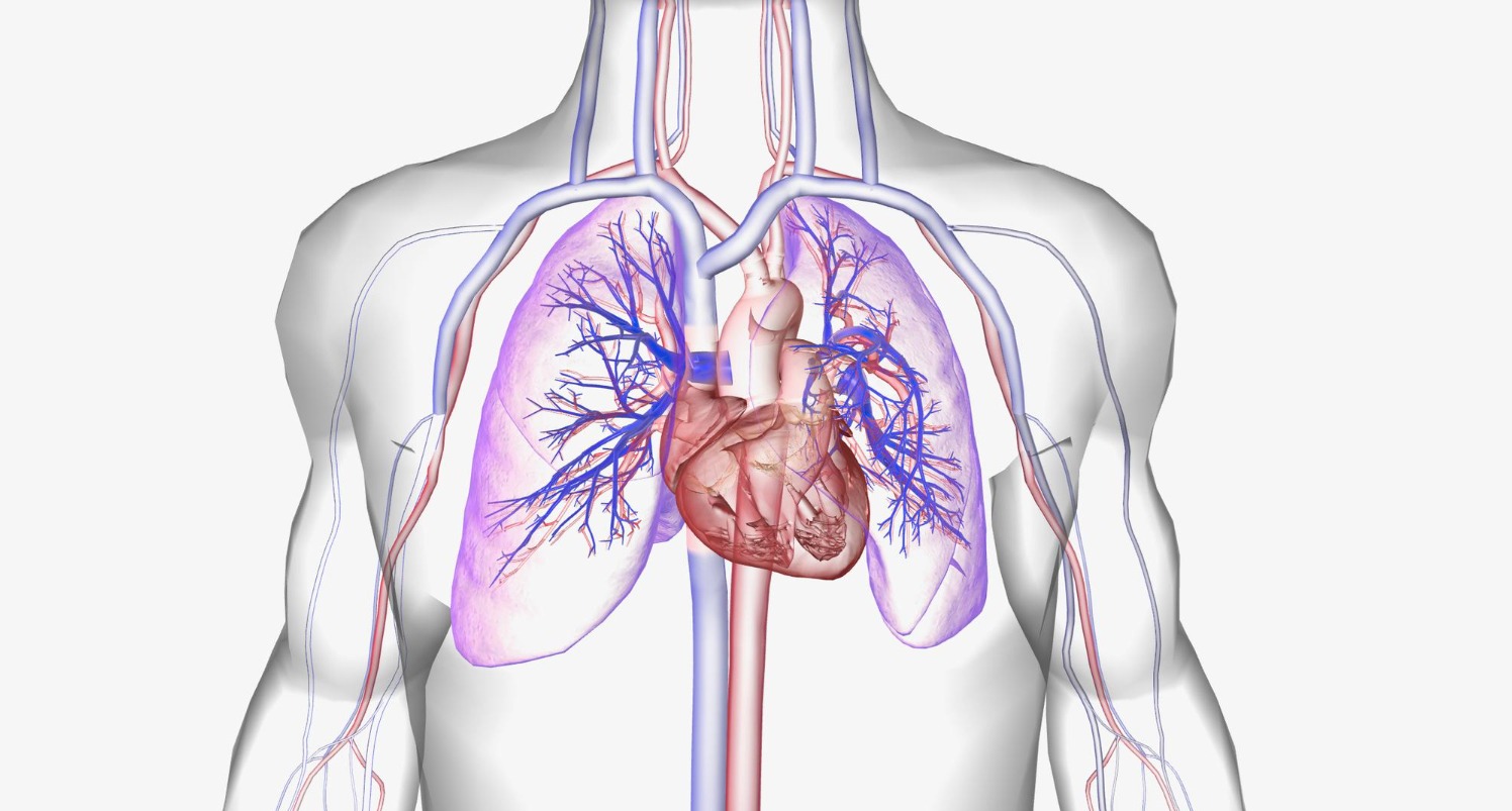 Managing Cardiovascular Diseases Through Integrated Metabolic and Medical Care