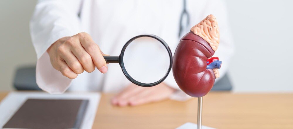 Understanding Urology Before You Book a Consultation