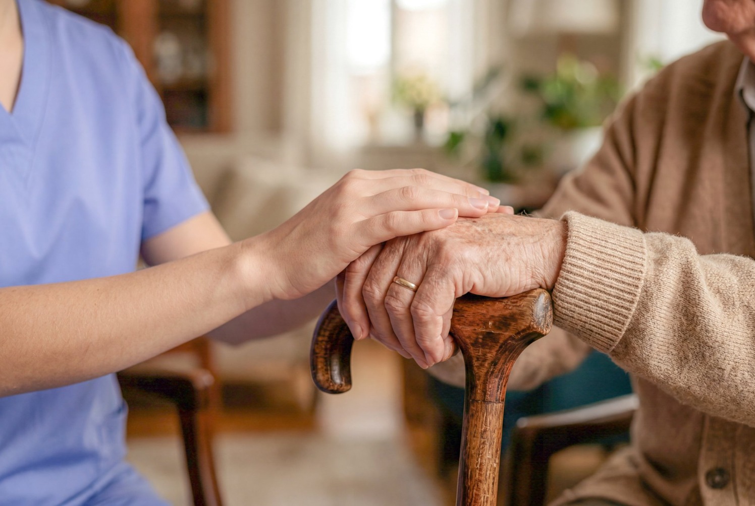 Geriatric Care Checklist for Families Supporting Older Adults in Ulwe