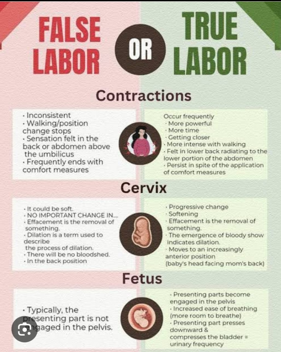 best Gynecologist doctor in keshav nagar