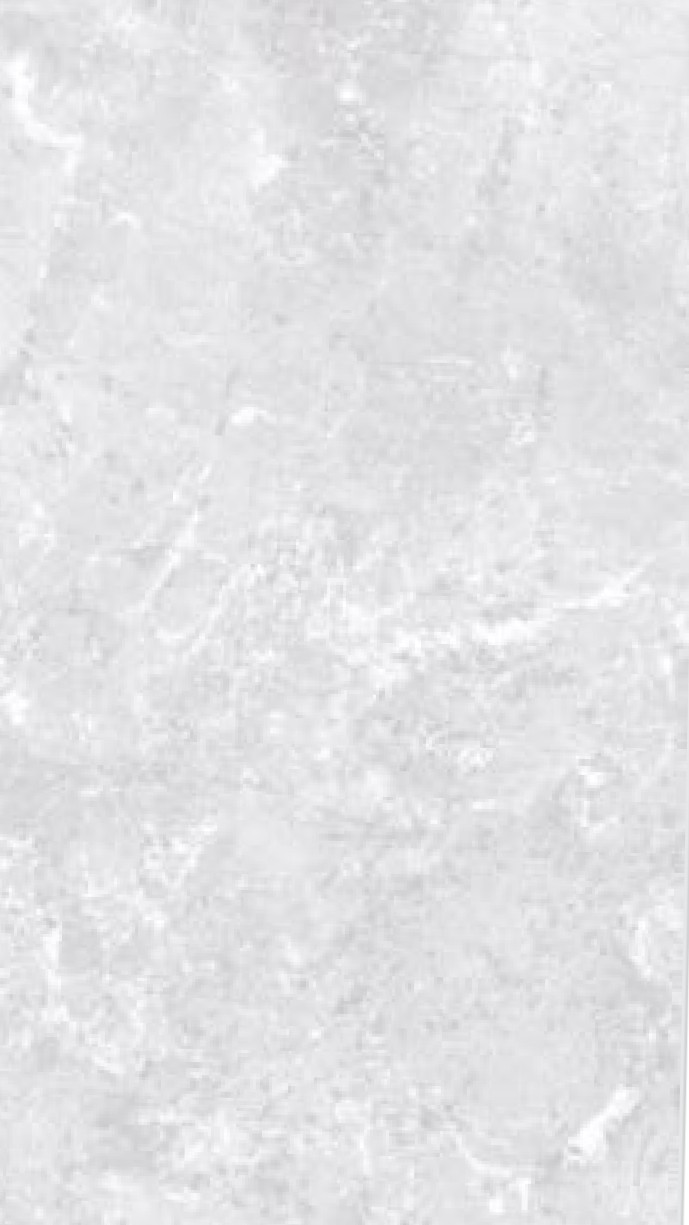 KAG TILES HITECH CERAMICS AND CO 4X2 FLOOR TILE "BELFAST LIGHT "