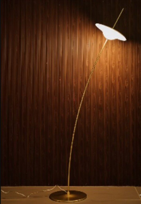 Floor Lamp Two Product Details Before Ordering in Delhi