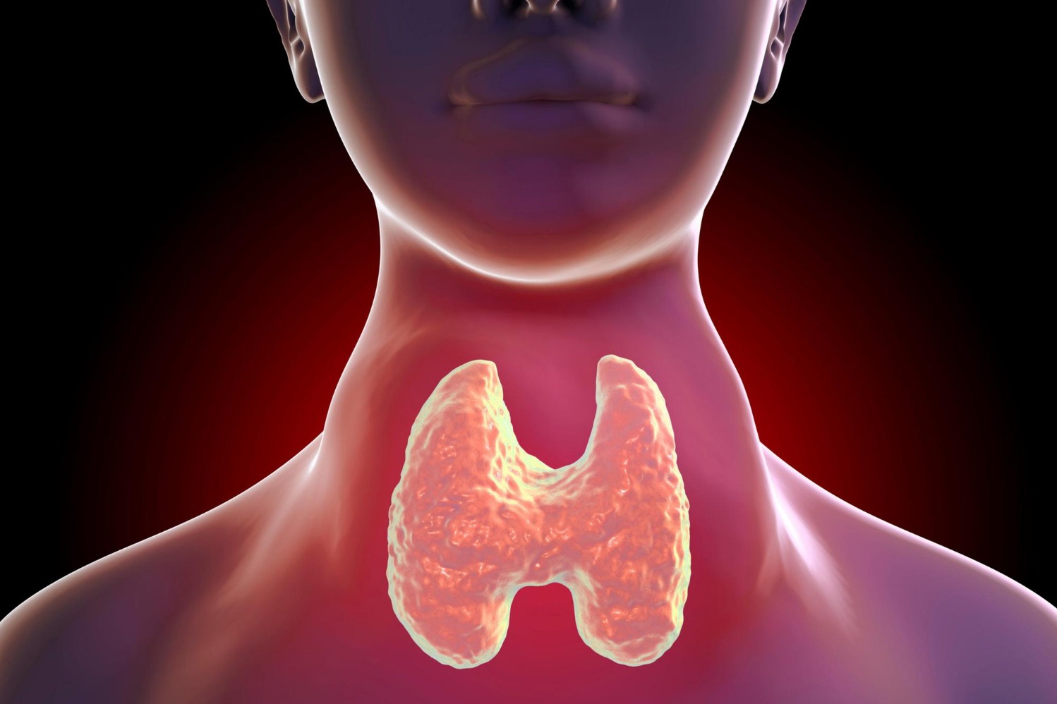 When a Hyperthyroidism Specialist Should Assess Persistent Thyroid Symptoms