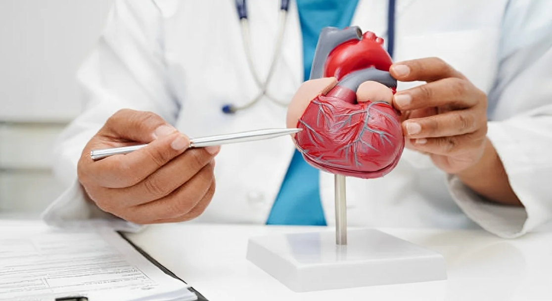 Cardiac Screening in Sanpada: Who Needs It and What Can It Tell You?