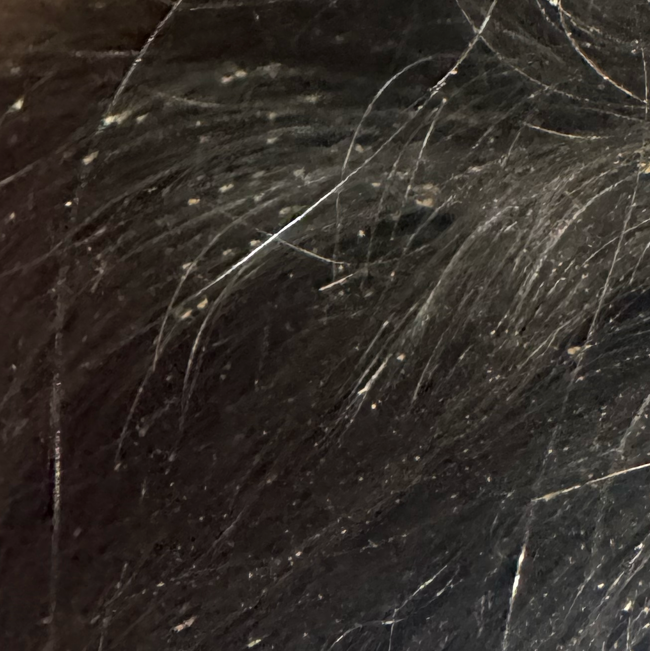 Vibha skin