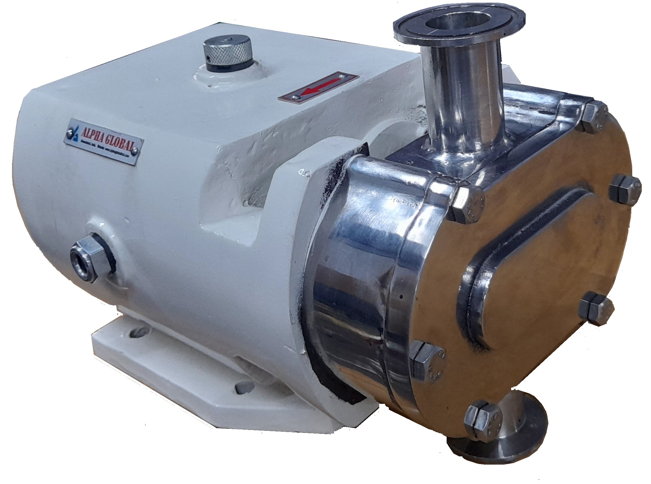 SS Rotary Lobe Pump Manufacturer in Amreli, Gujarat