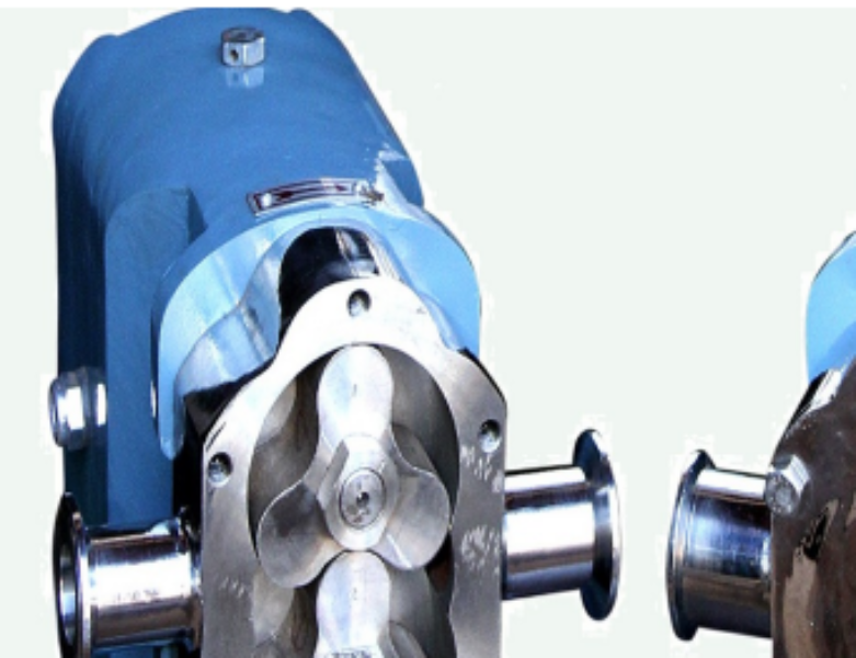 ss rotary lobe pump Manufacturer in Gujarat