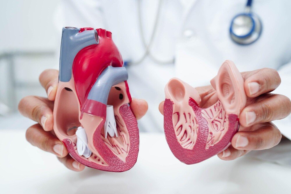 Heart Failure Treatment for Managing Symptoms and Supporting Heart Function
