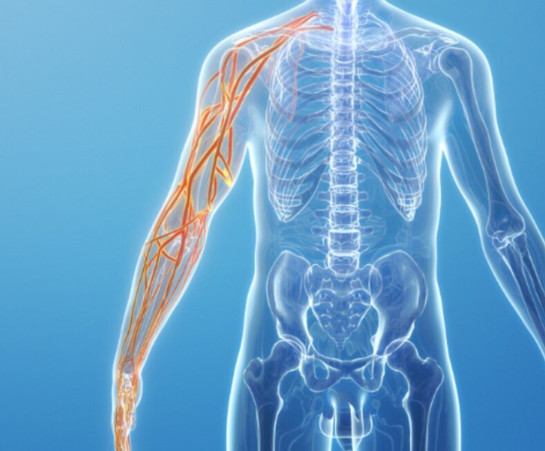 Brachial Plexus Injury Symptoms That May Affect Arm and Hand Movement